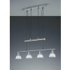 Trio LEVISTO Hanglamp LED Nikkel mat, 4-lichts