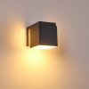 Swanek Buiten muurverlichting LED Antraciet, 1-licht