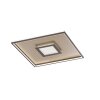 Fischer & Honsel Bug Plafondlamp LED Goud, Roest, 1-licht, Afstandsbediening