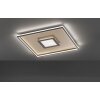 Fischer & Honsel Bug Plafondlamp LED Goud, Roest, 1-licht, Afstandsbediening