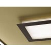 Fischer & Honsel Bug Plafondlamp LED Goud, Roest, 1-licht, Afstandsbediening