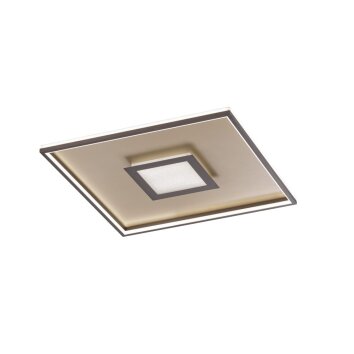 Fischer & Honsel Bug Plafondlamp LED Goud, Roest, 1-licht, Afstandsbediening