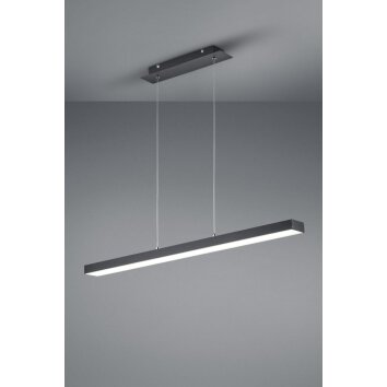 Reality AGANO Hanglamp LED Zwart, 1-licht