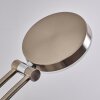 Argostoli Staande lamp LED Nikkel mat, 2-lichts