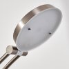 Argostoli Staande lamp LED Nikkel mat, 2-lichts