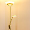 Biot Uplighter LED Messing, 2-lichts