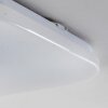 Nutak Plafondlamp LED Wit, 1-licht, Afstandsbediening, Kleurwisselaar