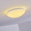 Brighton Plafondlamp LED Wit, 1-licht, Afstandsbediening, Kleurwisselaar