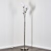 Bernado Staande lamp Nikkel mat, 6-lichts