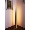 Helestra Staande lamp LED Antraciet, 1-licht