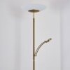 Argostoli Staande lamp LED Messing, 2-lichts