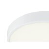 Globo KRULL Plafondlamp LED Wit, 1-licht