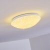 Brighton Star Plafondlamp LED Wit, 1-licht, Afstandsbediening, Kleurwisselaar
