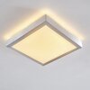 Sora Plafondlamp LED Nikkel mat, 1-licht