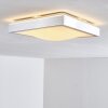 Sora Plafondlamp LED Nikkel mat, 1-licht