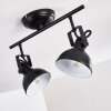 Tina Plafondlamp Zwart, 2-lichts