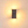 Swanek Buiten muurverlichting LED Antraciet, 2-lichts