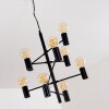 Pamunkey Hanger Zwart, 10-lichts