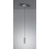 Trio MARLEY Hanglamp Nikkel mat, 1-licht