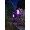 Philips Hue Ambiance White & Color Impress Padverlichting LED Zwart, 1-licht, Kleurwisselaar