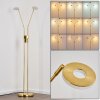 Gulkana Staande lamp LED Goud, 2-lichts