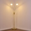 Gulkana Staande lamp LED Goud, 2-lichts