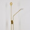Gulkana Staande lamp LED Goud, 2-lichts
