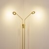 Gulkana Staande lamp LED Goud, 2-lichts