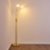 Gulkana Staande lamp LED Goud, 2-lichts
