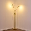 Gulkana Staande lamp LED Goud, 2-lichts