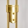 Gulkana Staande lamp LED Goud, 2-lichts