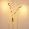 Gulkana Staande lamp LED Goud, 2-lichts