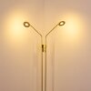 Gulkana Staande lamp LED Goud, 2-lichts