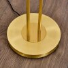 Gulkana Staande lamp LED Goud, 2-lichts