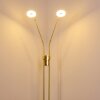 Gulkana Staande lamp LED Goud, 2-lichts