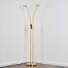 Gulkana Staande lamp LED Goud, 2-lichts