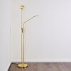 Gulkana Staande lamp LED Goud, 2-lichts