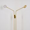 Gulkana Staande lamp LED Goud, 2-lichts