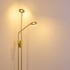 Gulkana Staande lamp LED Goud, 2-lichts