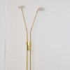 Gulkana Staande lamp LED Goud, 2-lichts