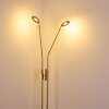 Gulkana Staande lamp LED Goud, 2-lichts