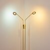 Gulkana Staande lamp LED Goud, 2-lichts