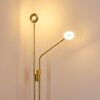 Gulkana Staande lamp LED Goud, 2-lichts