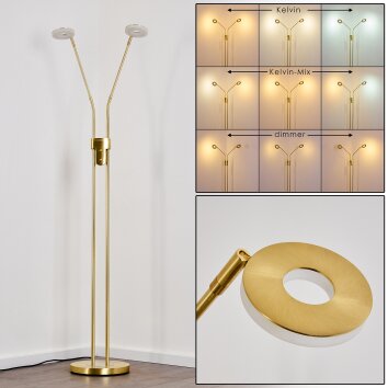 Gulkana Staande lamp LED Goud, 2-lichts