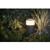 Philips Hue Ambiance White & Color Calla Sokkellamp, extensie set LED Zwart, 1-licht, Kleurwisselaar
