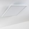 Lerum Plafondpaneel LED Wit, 1-licht