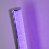 Flaut Tafellamp LED Chroom, 1-licht, Afstandsbediening, Kleurwisselaar
