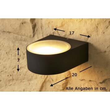 Brilliant Tyler Buiten muurverlichting Zwart, 1-licht