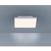 Paul Neuhaus FRAMELESS Plafondlamp LED Wit, 1-licht, Afstandsbediening