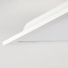 Antria Plafondlamp LED Wit, 1-licht